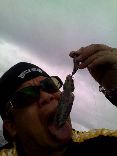 アオリちゃんです